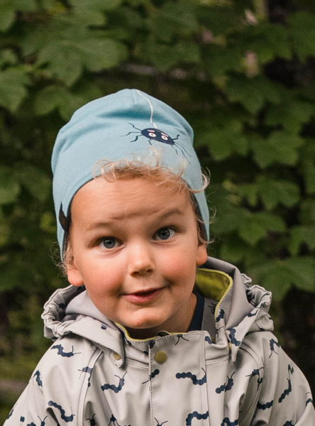 Kattnakken , Tosiders lue insekt arctic blue