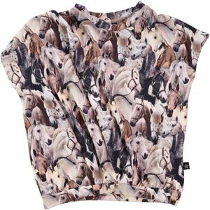 Hovedbilde Molo, Riana horse spirit topp