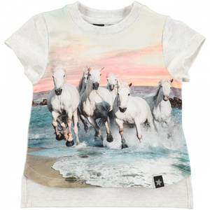 Hovedbilde Molo, Erin topp white horses