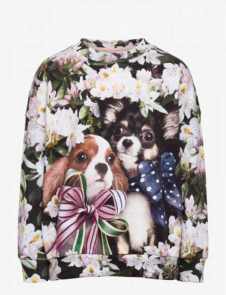Molo, Maxi pretty puppies genser
