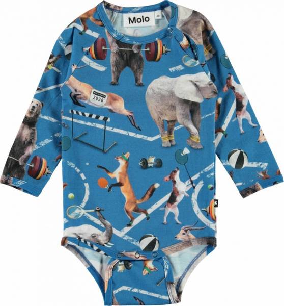 Molo, Field athletic animals body