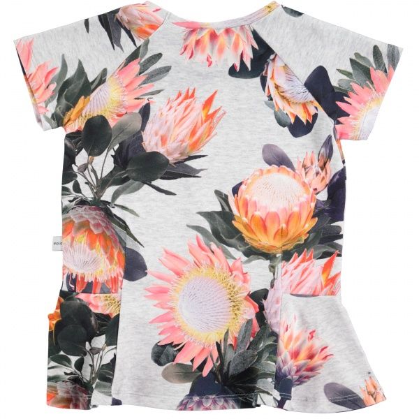 Molo, Robbin sugar flowers topp
