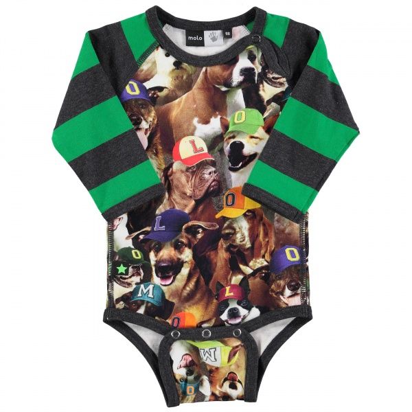 Molo, Floyd body NY dogs