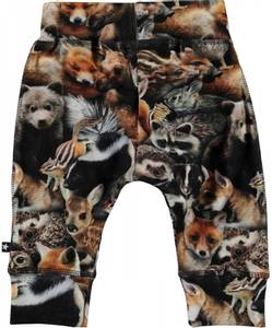 Hovedbilde Molo, Sammyforest animals ...