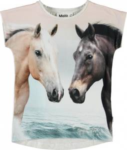 Hovedbilde Molo, Ragnhilde topp horse ...