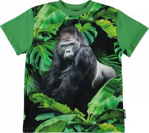Hovedbilde Molo, Roxo gorilla tskjorte